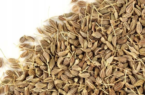 Aniksiemenet 50g [RP]