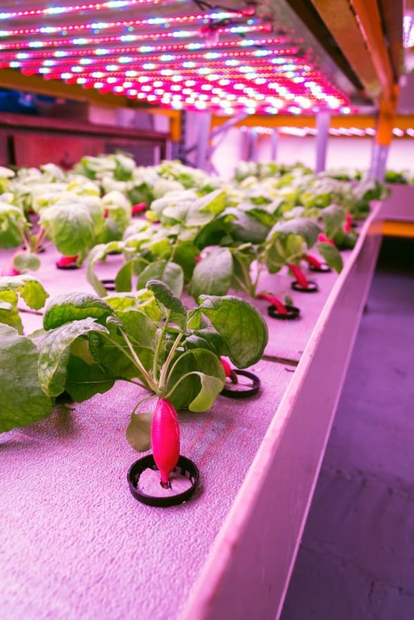LED-belysning för växttillväxt 30cm GROW 3:1