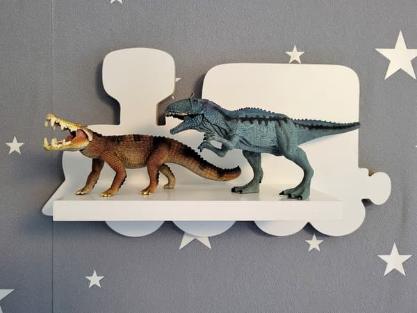Hylde Choo-choo Lokomotiv, tog