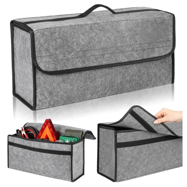Rexer Bilorganisator