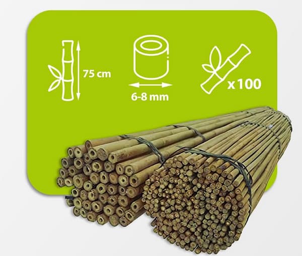 Bambustolpar 75 cm 6/8 mm /100 st/