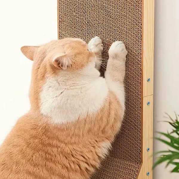Hjørne kradsetræ til katte med bold SNAPPY 60 cm + katteurt
