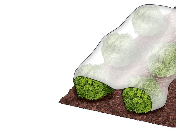Agrotextilöverdrag (vinter-vår) Parkside vit 150x1000 cm 0 g/m²