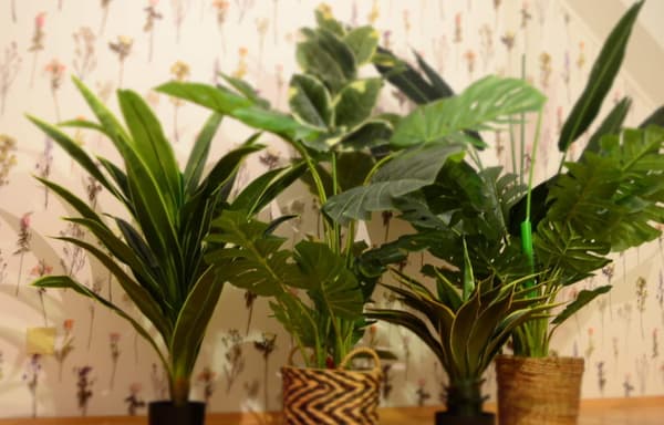 KUNSTIG FIGEN, FICUS ~ 120 cm nr. #5