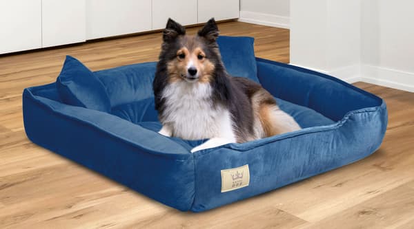 Hundsäng kennel 100x75 cm velour blå