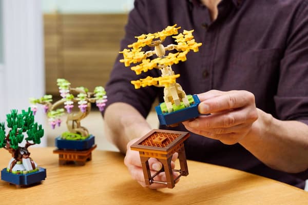 LEGO 10373 Botanisk samling