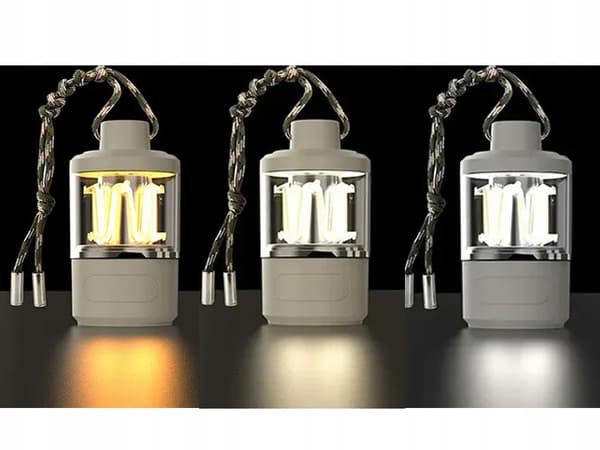 Hängande lampa 808 (100)