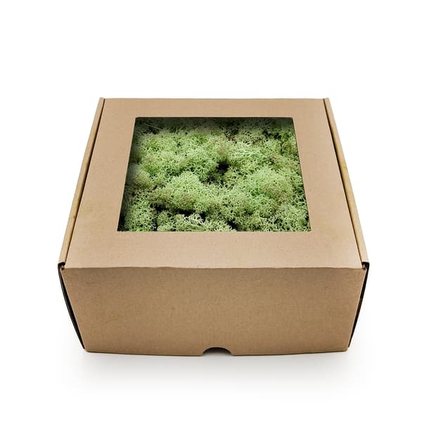 Renmossa - Norge - Mintgrön 500g NETTO