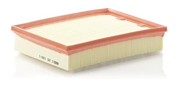 LUFTFILTER C251091 MANN