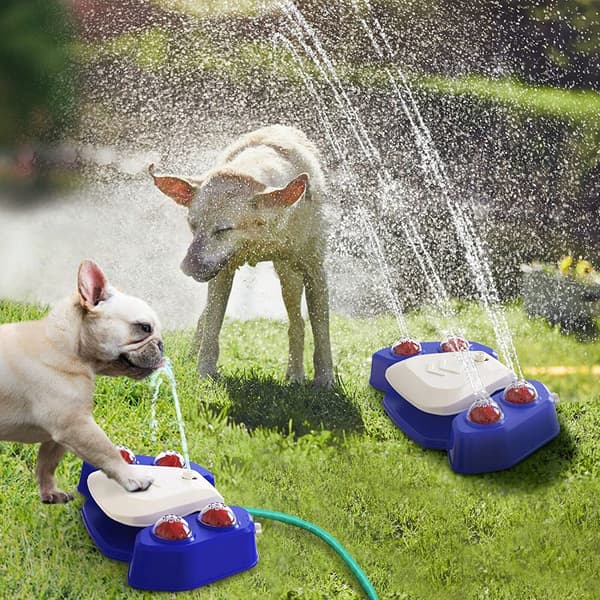 Hundfontän automatisk vattenmatare blå