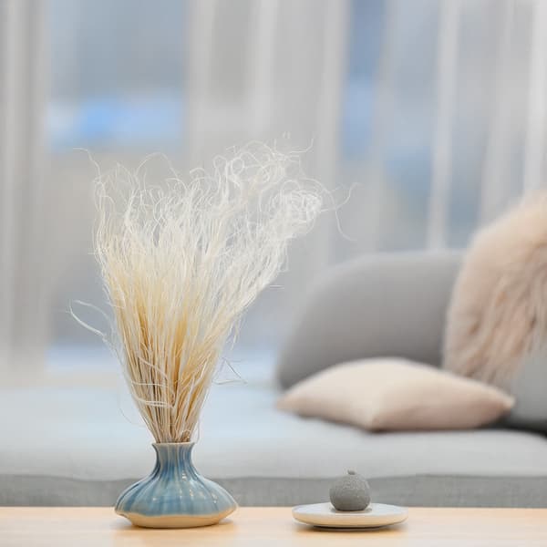 Kuivattu Stipa - Stipa pennata - Valkaistu