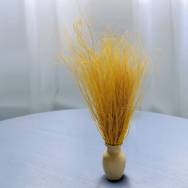 Kuivattu inkivääri - Stipa pennata