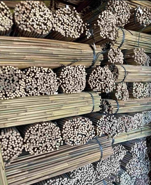 Bambustolpar 75 cm 6/8 mm /100 st/