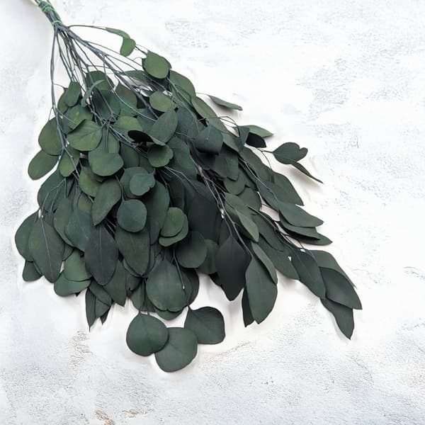 Stabiliseret eukalyptus - Populus - Grøn