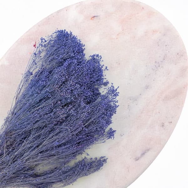 Tørret kostblomst - Kost - Lavendel