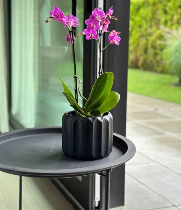 Modern rund väggklocka utan siffror, vit, 50 cm