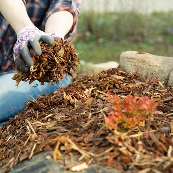 MEDIUM FYRREBARK 80L POLERET HAVEBARK 80L