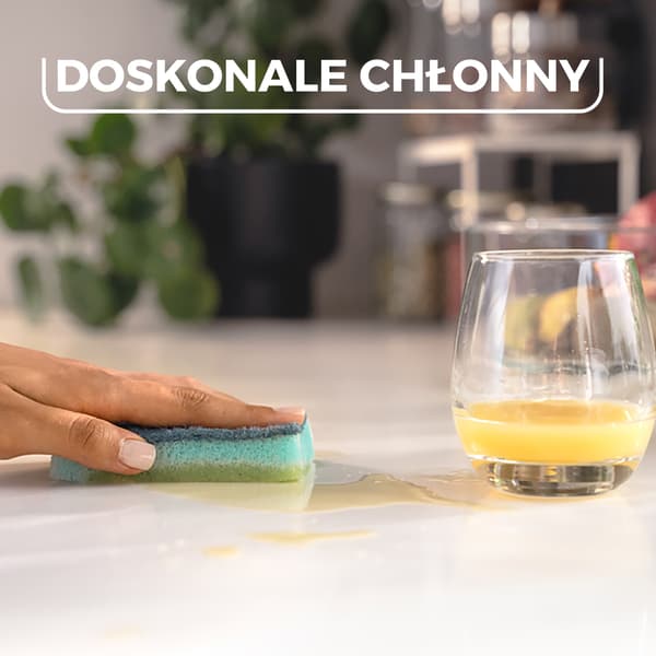 256743 Vileda Sieni enzymeillä Pro Clean 2 kpl