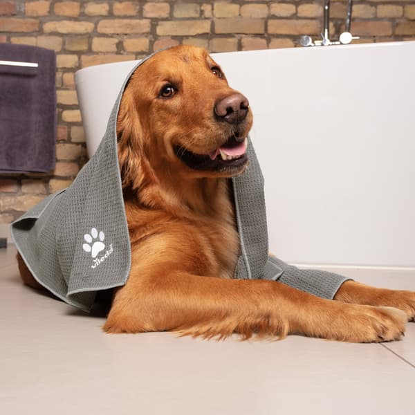 Vileda Pet Pro mikrosieniä pyyhe XL