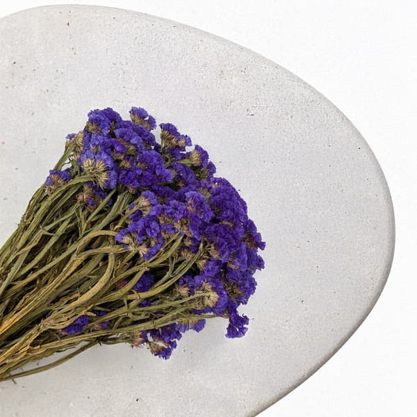 Limonium sinuatum - Lilla