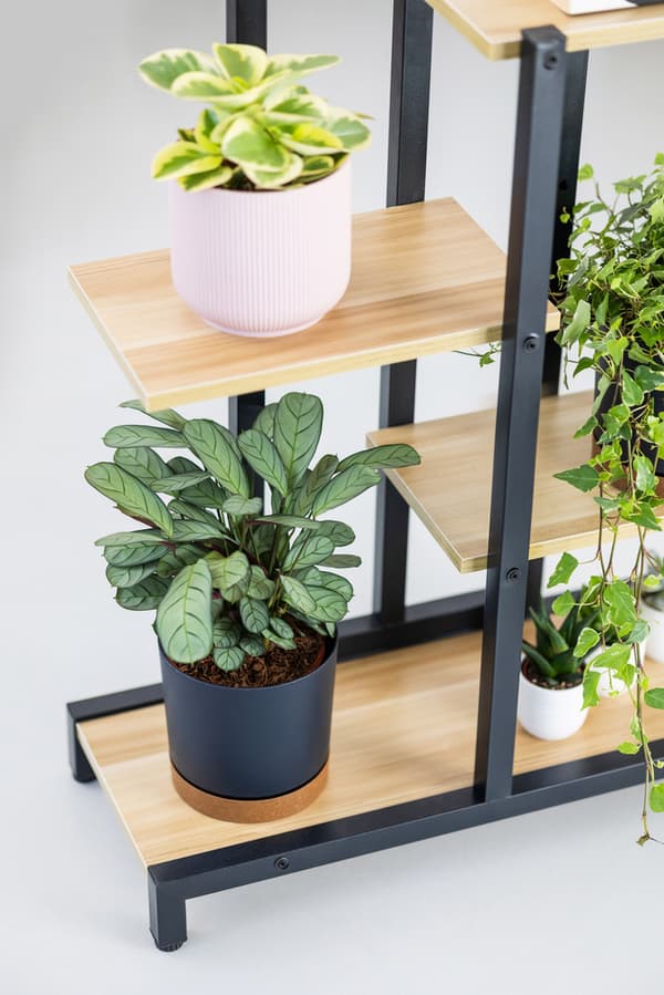 Oasis metal blomsterstativ - sort stativ til blomster og planter