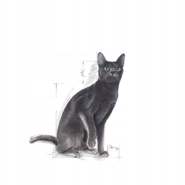Royal Canin FHN Sterilised 37 10 kg tørfoder til katte