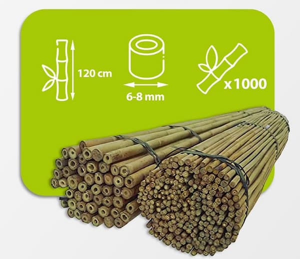 Bambukepit 120 cm 6/8 mm /1000 kpl/