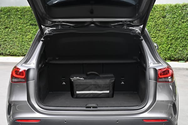 Ulm bilorganisator sort