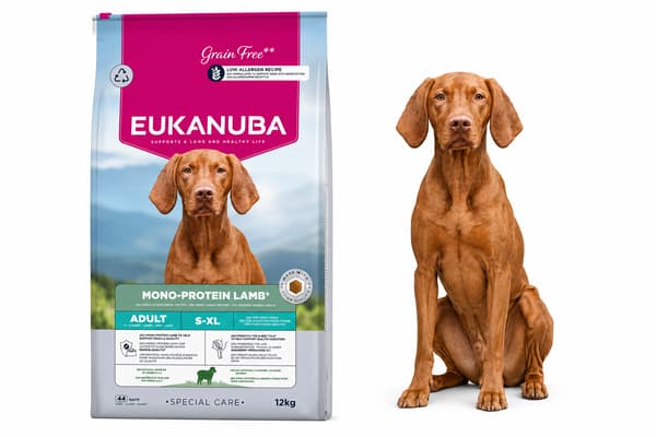 EUKANUBA Hundfoder för vuxna hundar, monoprotein, lamm, 12 kg