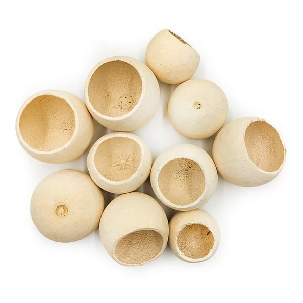 Bell Cup - Bleget - stor - pakke med 10