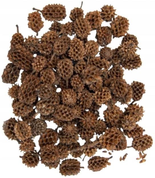 Mini luonnolliset koristeelliset käpyä 30g