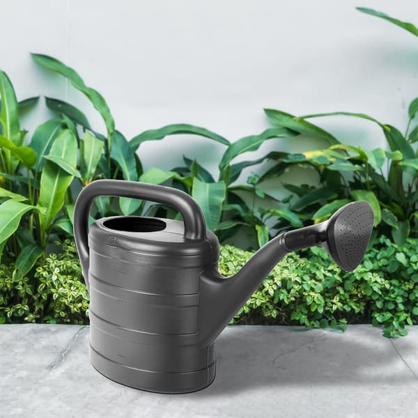 Grå plastik vandkande 5 liter