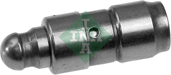 SKUBBER 420009810 INA