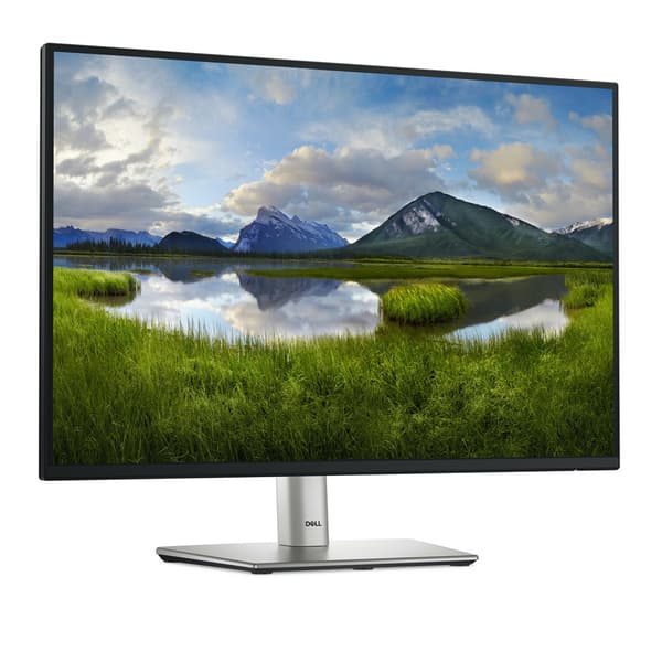 DELL LED 24 P2425 skærm