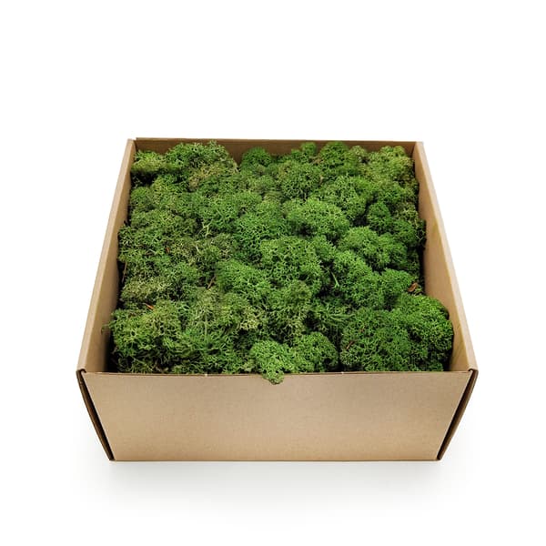 Rensdyrmos - Norge - Flaske 250g NETTO