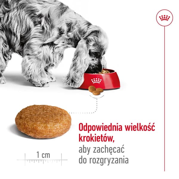 Royal Canin SHN Medium Adult torrfoder för hundar 4 kg