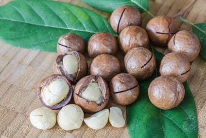 Koldpresset Macadamia-olie 500 ml RAFFINERET