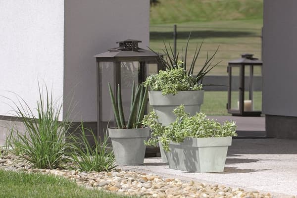 Cube Beton Effect DCUB170 terrakotta urtepotte Prosperplast