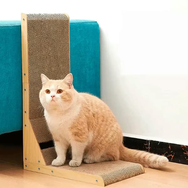 Hjørne kradsetræ til katte med bold SNAPPY 60 cm + katteurt