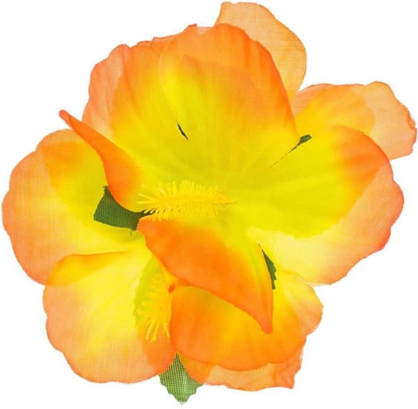 Hawaiiansk hårspænde orange blomster