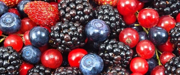 G&G Extra skogsfruktsmarmelad 450 g