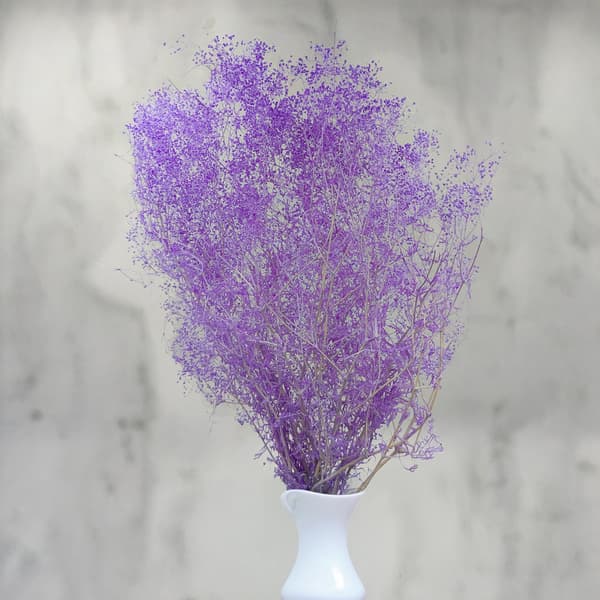 Stabiloitu Kipsi MINI - (gypsophila) - Lila