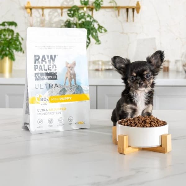VetExpert Raw Paleo Ultra kalkon torrfoder för valpar 8 kg