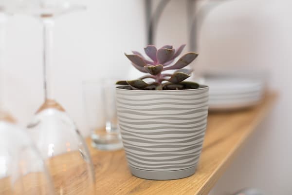 Sahara Petit 19 cremefarvet FORM-PLASTIC urtepotte med underkop