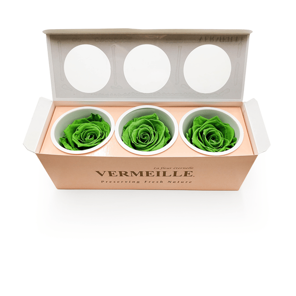 Stabiliseret rose - Præriegrøn - XL - 3 stk.