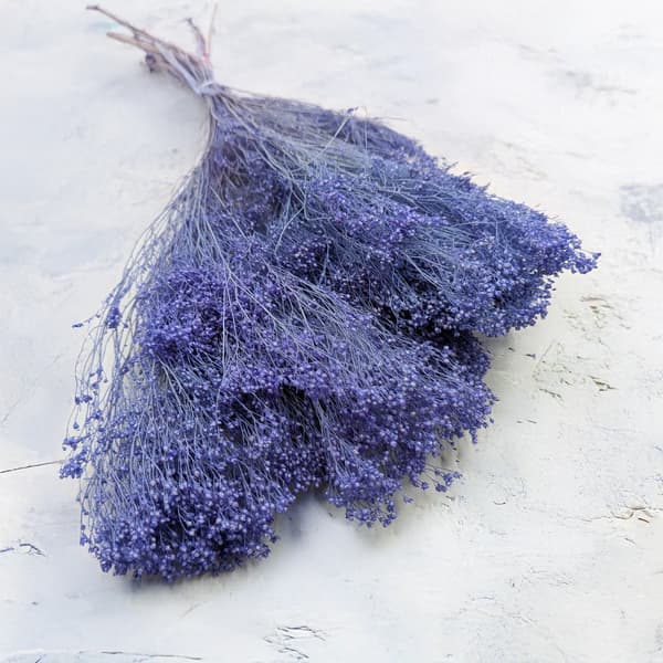Tørret kostblomst - Kost - Lavendel