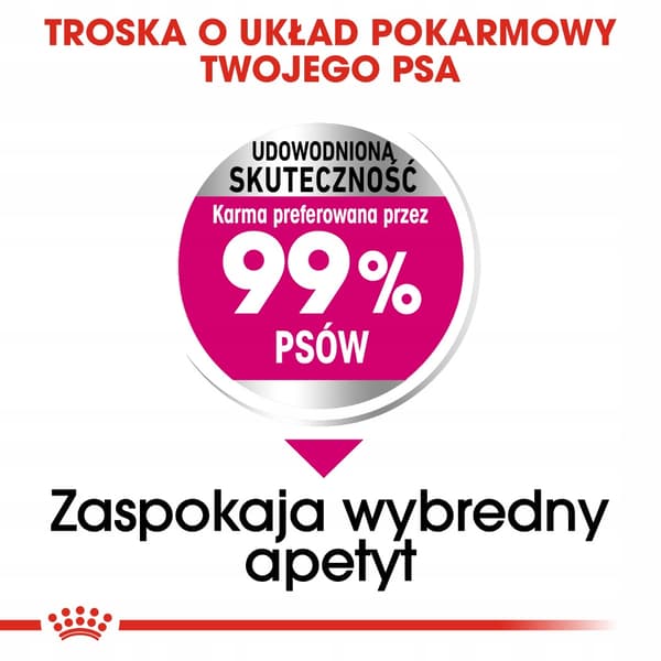 ROYAL CANIN Liten Krävande 3kg