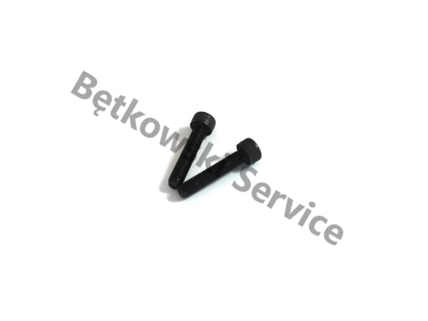Cylinderbolt 333R 350 575XP ORIGINAL