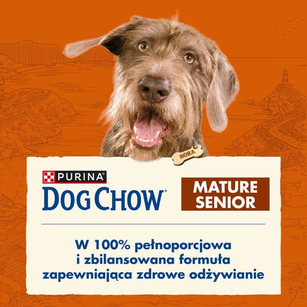 Purina Dog Chow Mature 14 kg torrfoder för hundar