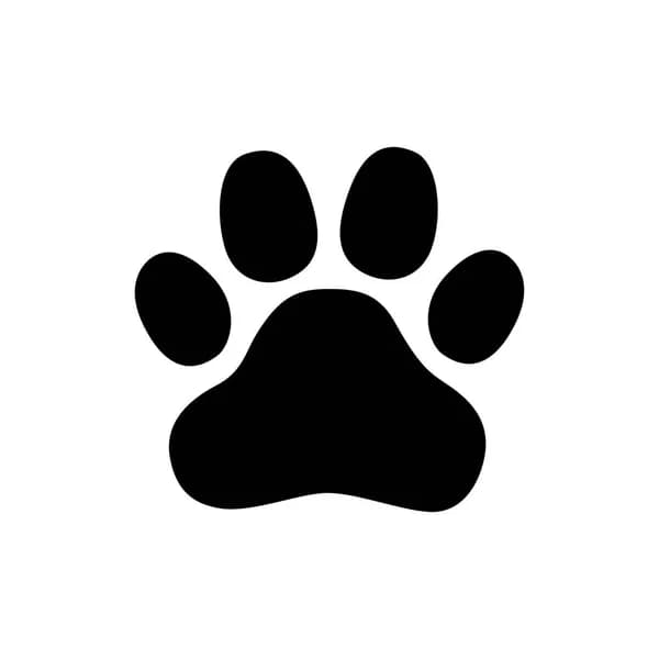 Dog Freedy 50cm - Brun